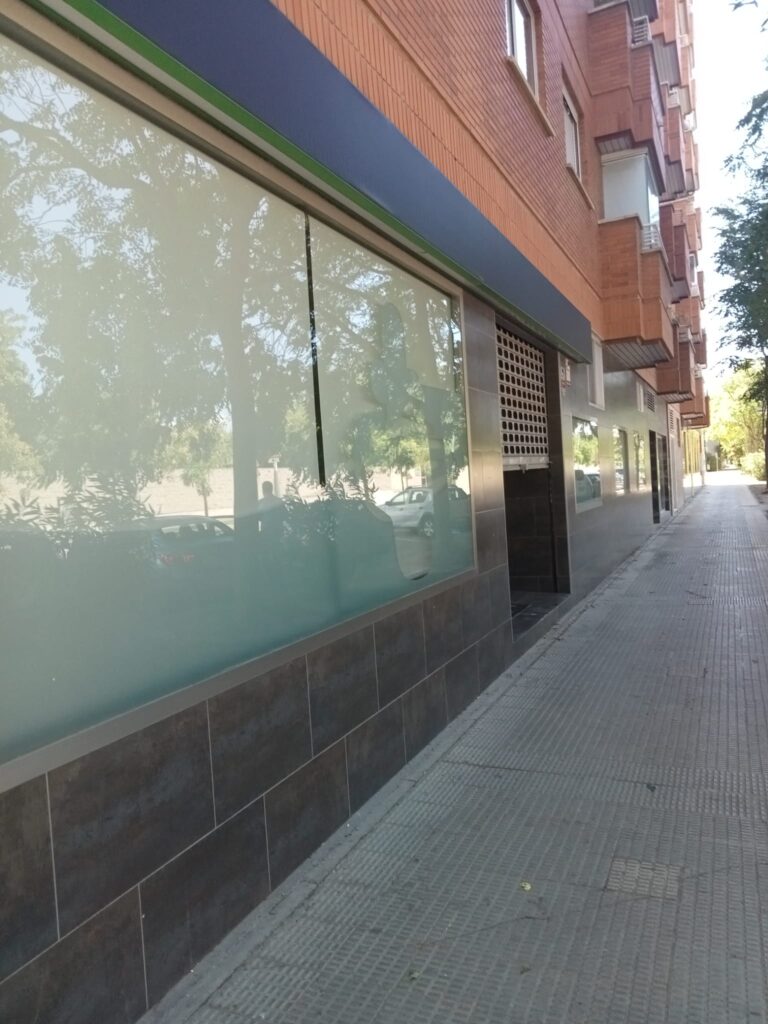 WhatsApp Image 2026-03-13 at 13.15.37 (2)